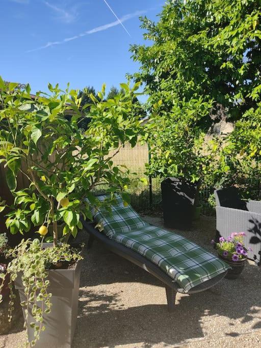 Gîte l' Arbre de Vie indépendant, au calme Les Essards  Esterno foto